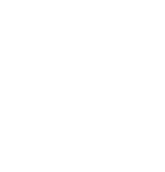 Rival Esports
